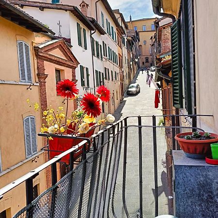 La Campanina-Nel Cuore Di Siena E Della Contrada ภายนอก รูปภาพ