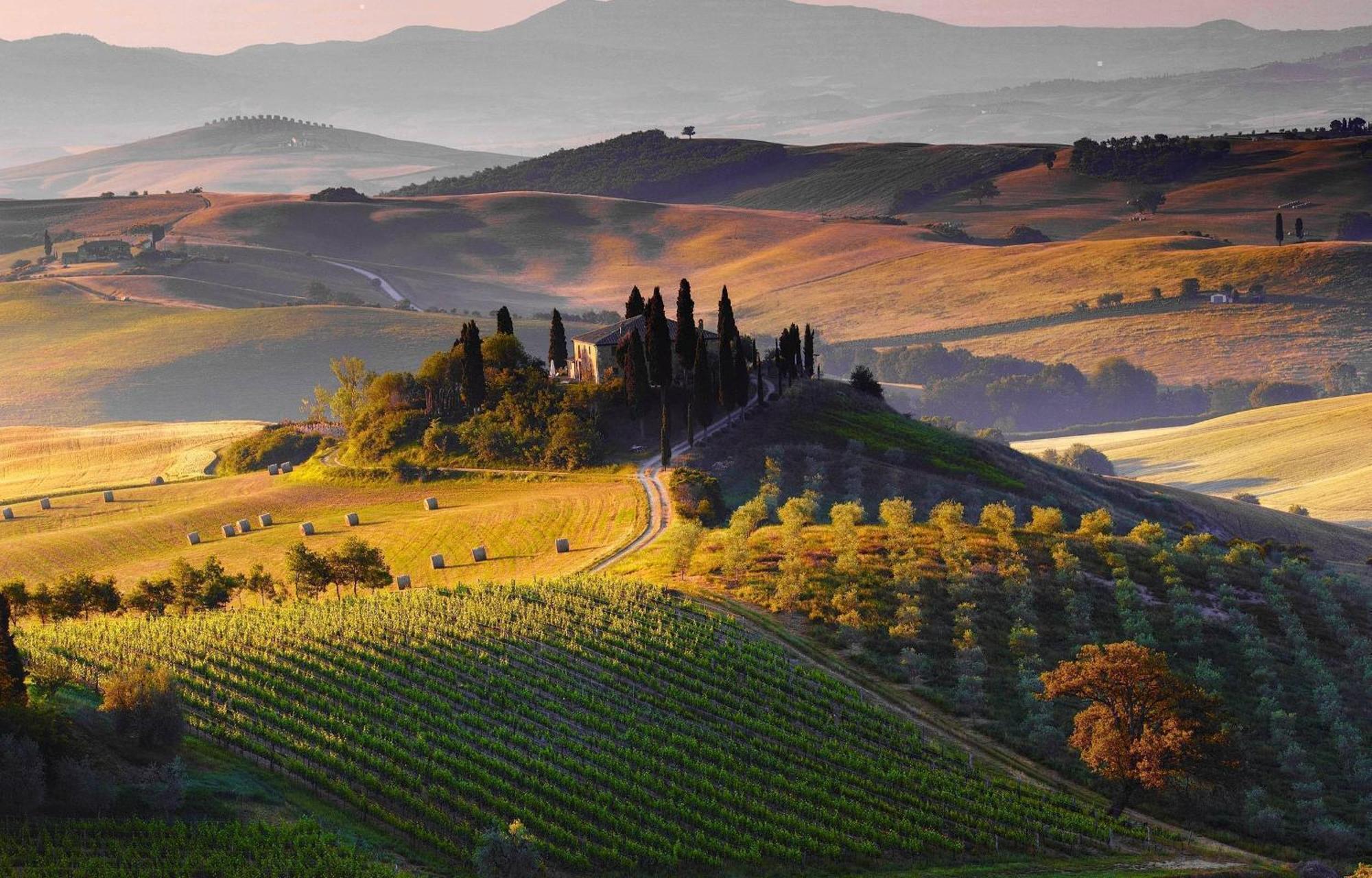 La Campanina-Nel Cuore Di Siena E Della Contrada ภายนอก รูปภาพ